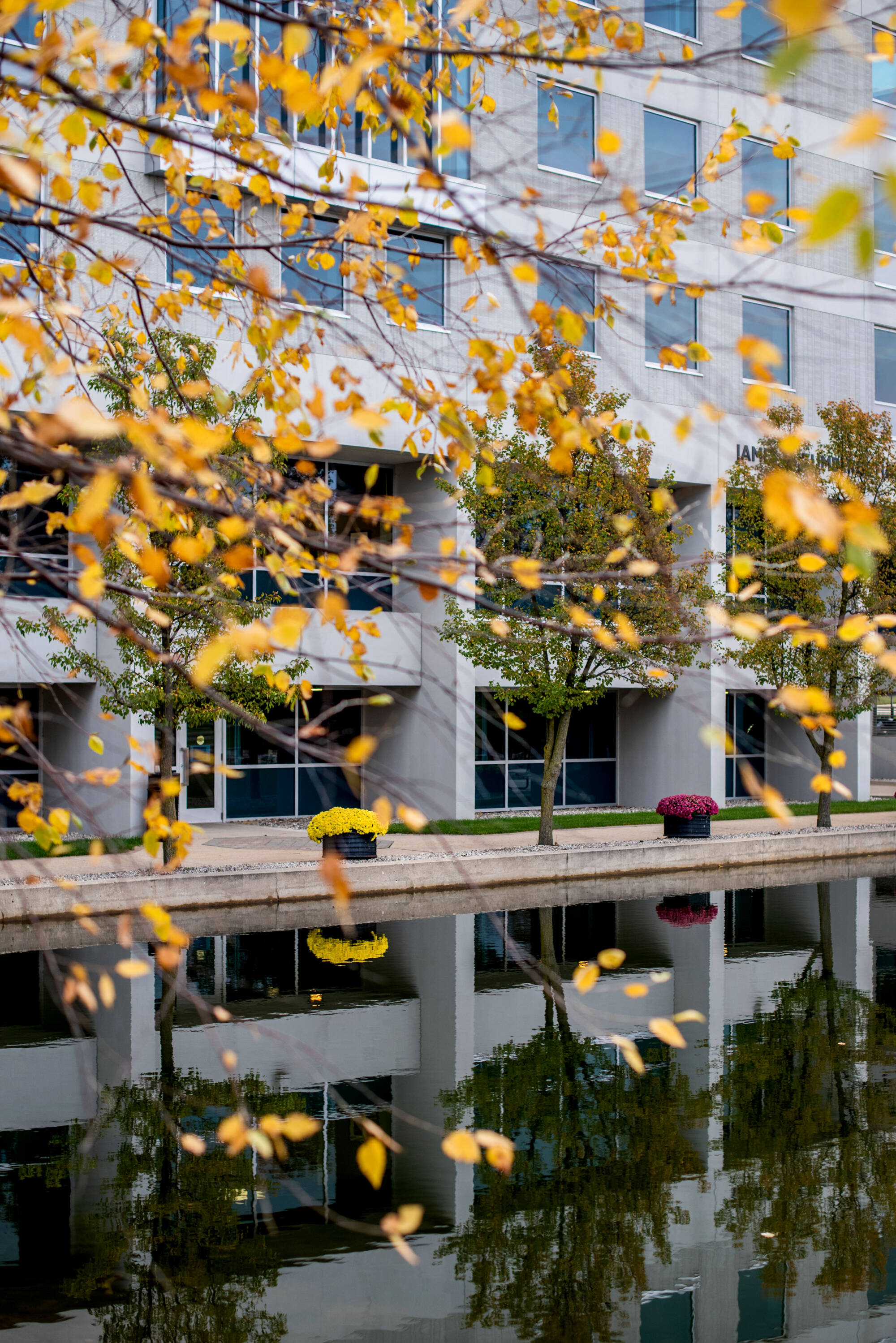 View of Zumberge building with yellow leaves in front